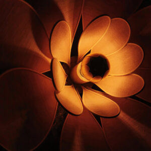 Applique murale fleur - Modèle Nénuphar - Lampes et veilleuses neuf - photo_5