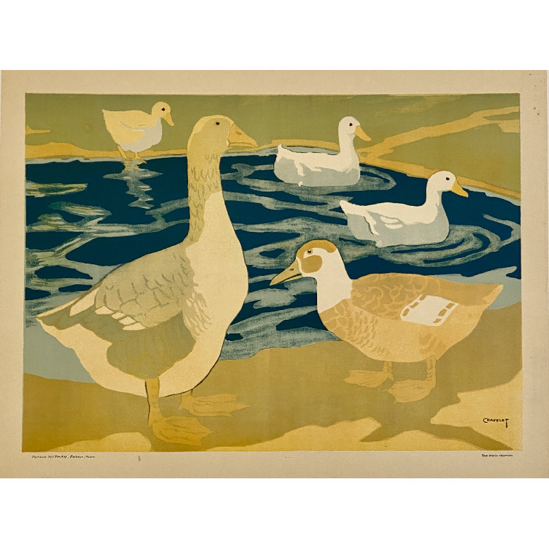 Oies et canards - Décoration murale et suspendue vintage vintage - photo_1