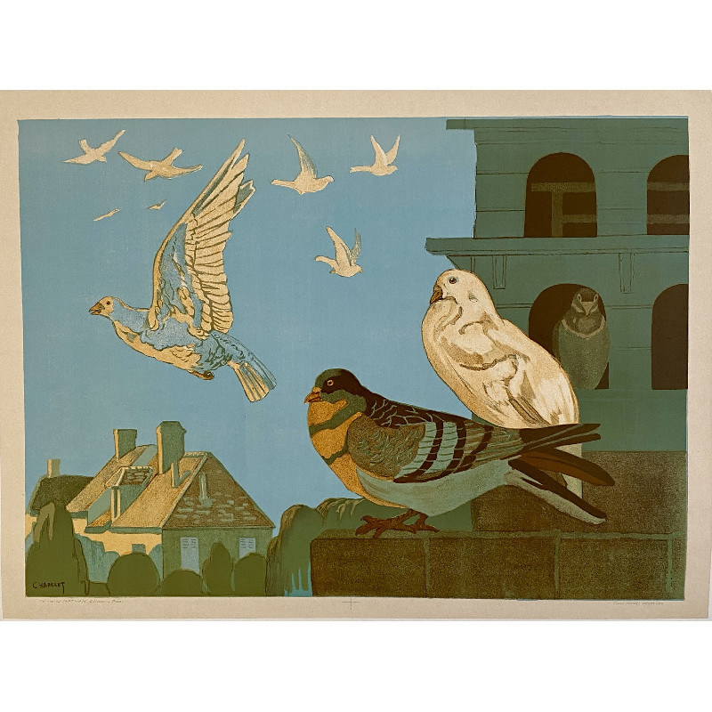 Ramiers et pigeons - Décoration murale et suspendue vintage vintage - photo_1